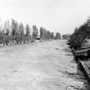 View of a Cherry Creek flood in Denver, Colorado after the Castlewood Canyon Dam break; shows muddy water, landscaping, and people.