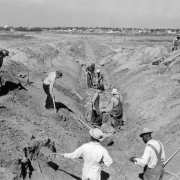 Men dig a ditch in Denver, Colorado; houses, neighborhoods, a fuel tank, and a smokestack are in the distance. African American men dig with shovels.