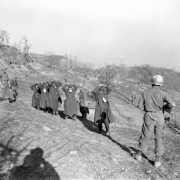 Five Tenth Mountain Division soldiers guard five tagged German prisoners on an Italian hill. Trees in the background are leafless. Photographer's shadow is visible in lower left corner.