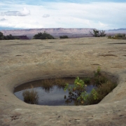 A pothole provides an oasis of life and green color in a vast stretch of white sandstone at a place called The White Crack, on a portion of the White Rim Trail in Canyonlands National Park in southeastern Utah. The trail which runs through rough and ru...
