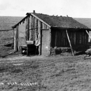 View of make-shift one-room cabin with sod roof, Gillett, Colorado. The small cabin is constructed of vertical logs, and a tar paper door and window. Two posts appear to support the gable roof. Materials around the cabin include: pile of scrap wood, wooden barrels, and a clothes  line connected to the house.