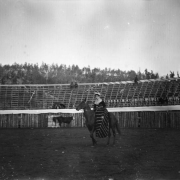 In This view of "La Cherita" participating in a bullfight in Gillett, Colorado, a woman in Mexican dress rides sidesaddle atop a horse. Wooden bleachers are in the background of the arena, with a few observers on the wooden bleachers. Bulls are in the background.