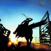 A bunch of cowboys watch as Cody Miles, left, of Parachute, busts out of the start gate in the calf roping competition during the night performance of the Colorado State Rodeo Finals at the Jefferson County Fairgrounds in Golden, Colo., on Friday, June...