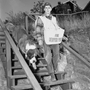 A teenage newspaper delivery boy, with a "Denver Post" newspaper bag, walks down stairs in Estes Park (Larimer County), Colorado; a Newfoundland dog is with him.