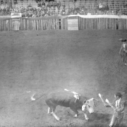 The bullfight on August 24 or 25, 1895, is taking place in the bullring built at the race track in Gillett, Colorado, for the occasion. Joe Wolfe was the organizer of the event which caused a scandal because of its cruelty to animals. Two of the Mexican bullfighters confront the bull; the matador holds a cape and stands at a distance, and the banderillo holds two banderillas directly in front of the pawing bull, who is already wounded. Spectators are in the stands behind the wood fence.