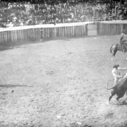 The bullfight on August 24 or 25, 1895, takes place in the bullring built at the race track in Gillett, Colorado, for the occasion. Joe Wolfe was the organizer of the event which caused a scandal because of its cruelty to animals. The bull lunges as the matador waves his cape; another bullfighter is in the ring and a mounted picador carries a lances. Spectators are in the stands behind the wood fence.