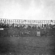 The bullfight on August 24 or 25, 1895, is taking place in the wood bullring built at the race track in Gillett, Colorado, for the occasion. Joe Wolfe was the organizer of the event which caused a scandal because of its cruelty to animals. The dead bull is being dragged away by two men driving two horses or mules with Mexican flags in their bridles. A mounted cowboy is nearby in the ring. Observers are in the stands behind the wood fence; the grandstands are decorated with bunting and a flag.