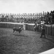 The bullfight on August 24 or 25, 1895, takes place in the wood bullring built at the race track in Gillett, Colorado, for the occasion. Joe Wolfe was the organizer of the event which caused a scandal because of its cruelty to animals. A matador holds a cape and looks toward the bull with barbs in his hide, and mounted seven-foot long-haired picador Charlie Meadows looks into the stands at what appears to be Joe Wolfe in Mexican costume.