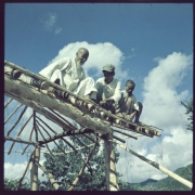 Three men sit on the log frame of a roof and strap bamboo cross bars to the frame as they prepare to thatch the roof in South Korea. The elderly men wear beards. The younger man wears a cap.
