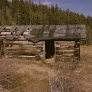 View of an abandoned cabin located in a meadow in Alice (Clear Creek County), Colorado. The one story cabin has chinked, wood plank siding, a partly collapsed roof and large log beams. Mountains are in the distance.