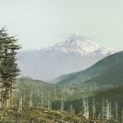 View of snow-capped Mount Hood, a volcano located between Hood River County and Clackamas County, Oregon. Shows clouds near the summit, and heavily forested foot hills.