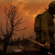 Firefighter Daniel Crawford catches his breath after battling the Hayman Fire.