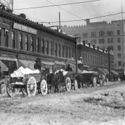 Men haul snow from the downtown area, in horse drawn wagons, along Sixteenth Street towards Broadway Avenue to dump in Civic Center, Denver, Colorado. Business signs include: "The [Y]ee Foo Lun, C.H.D. Chinese Herb Institute, Have Cured Thousands, Why Not You?" "Elite Photo Studio," "Photo Supplies," "Haines Hair Store," "Kodak Supplies," and "Capitol Cap Factory."