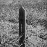 View of a gravestone at the Brighton, Adams County, Colorado cemetery: a pointed slab with Japanese inscriptions.