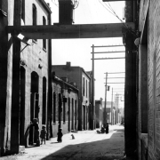 Children and a dog stand in Hop Alley (between Wazee and Blake Streets) in Denver, Colorado. A sign on one of the buildings reads: "[?] Specialties Co. 2024 Blake".