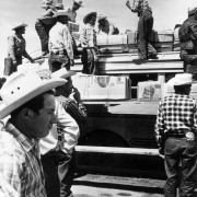 Hispanic migrant workers load supplies onto the roof of a bus near Fort Lupton (Weld County), Colorado. They wear wide-brimmed hats.