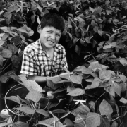 A Hispanic boy works in a field in Colorado. He wears a plaid shirt.