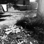 View of a trash pile and laundry on a clothesline at a migrant worker camp in Colorado. A one-story house is in the distance.