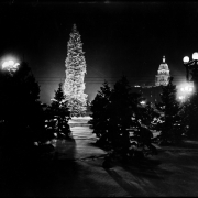 Night view of snow-covered Christmas display in Civic Center, Denver, Colorado; shows tall Christmas tree with decorations and spotlight, streetlamps, and illuminated State Capitol Building.