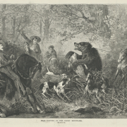 A bear is captured with ropes tied around its neck in a wooded ravine in the Rocky Mountains. Dogs jump at the captured bear. Hunters on horseback wear clothing that includes fringed buckskin, wide-brimmed hats, and a sailor shirt.