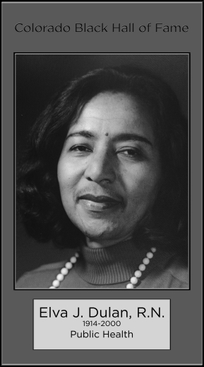 Elva Jones Dulan, R.N., 1914-2000, Public Health