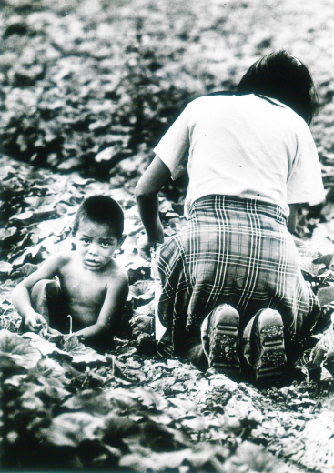Four-year-old Mike Martinez and his mother work in a Brighton field along North Washington Street, 1983