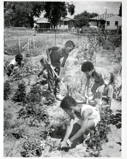 Photograph of several unidentified children working in a community garden in the Globeville neighborhood of Denver, Colorado.
