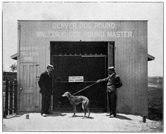 Denver Poundmaster Cox and Inspector Plessner Outside Denver Dog Pound