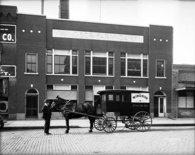 Brown H. Cannon, president of Windsor Farm Dairy, is by a horse drawn milk delivery wagon at 1855 Blake Street in Denver, Colorado; dairy buildings are in the background.