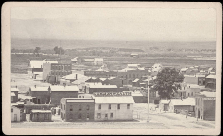 A westerly view, probably from the tower of the Colorado Seminary building, of Larimer Street and the business district of Denver, Colorado. Shows commercial buildings and houses. Signs on commercial buildings read: "J.B. Doyle Co. Storage & Commission," "International," and "Commonwealth." Shows dirt roads, horses and the bluffs of North Denver. Bell's Boarding House is partially covered by a tree.