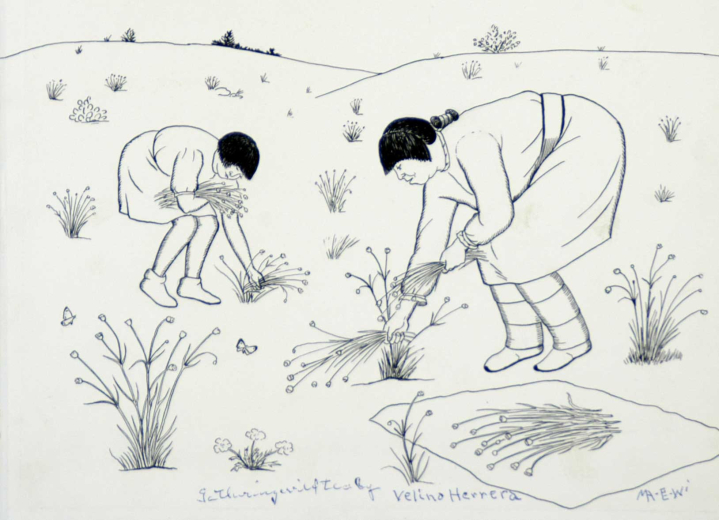 In My Mother's House by Ann Nolan Clark