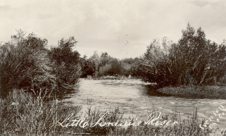 View of the Little Laramie River in (Albany County) Wyoming. Shows brush and shrubs.