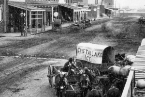 Larimer Street looking toward Cherry Creek showing a horse-drawn Crystal Lake Ice wagon, circa 1870. 	 X-23454