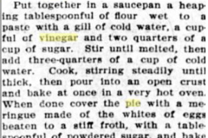 Vinegar Pie Recipe