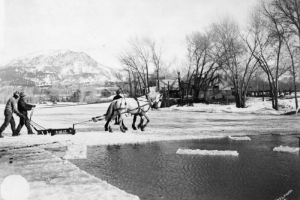 Two men cut ice with an ice cutter pulled by two horses on a pond in Paonia, Colorado in Delta County.  A third man stands by and watches.  Snow blankets the ground.