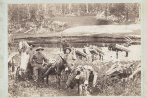 Miners pose with a pack train of burros near a lake or pond in the Red Mountain Mining District in Ouray or San Juan County, Colorado.  Two of the men are African American. The men wear hats, and two smoke pipes. The burros carry split wooden logs. Shows a wooden post  in a cairn.