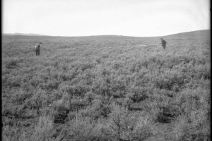 Two men about 30 feet apart hold a rope between them, probably near Craig, Colorado; early surveying for homestead boundaries, sage prairie.