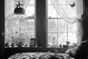The sun streams through two windows of a Central City bedroom where a twin bed with a quilted cover is in the foreground. The windowsills next to the bed are decorated with bric-a-brac, including flowers, vases, bells, and miniature birds. A decorative birdcage with a bird in it hangs in front of the window. Lace curtains, gathered at the sides, decorate each window. A butterfly design is on the curtain on the right. The masonry wall and the vegetation in the yard are visible through the window.