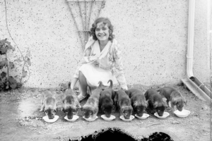 A woman poses with a line of puppies eating from bowls; she smiles, wearing a flower patterned blouse and earrings.