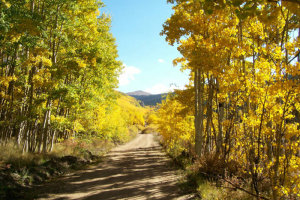 Peak Picks: Photo by Steve Baker, of Littleton. Taken at Kenosha Pass.