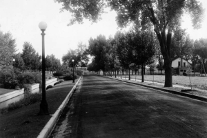 View of the Marion Street Parkway, in Denver, Colorado; shows landscaping, street lights, the City Ditch, and homes.