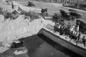 Men, women, and children look at bears at the City Park Zoo in Denver, Colorado; cars are parked nearby.