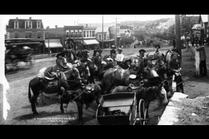 Children pose with burros on Manitou Avenue in Manitou Springs (El Paso County), Colorado. Business signs read: "Meat Market" and "Produce & Commission."