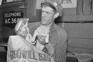 A Goodwill delivery man holds kittens and a bag in Denver, Colorado; his bag lists items acceptable for donation. Letters on his truck read: "Rehabilitation and Employment of Handicapped Persons."