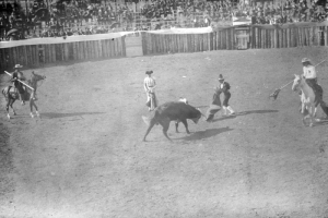 The bullfight on August 24 or 25, 1895, takes place in the bullring built at the race track in Gillett, Colorado, for the occasion. Joe Wolfe was the organizer of the event which caused a scandal because of its cruelty to animals. A bullfighter waves his cape at the bull, who paws the ground, while the matador looks on. The mounted picadors carry lances; one of the horsemen is seven-foot-tall, long-haired Charlie Meadows, Joe Wolfe's partner. Spectators are in the stands behind the wood fence.