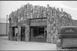 View of the petrified wood building in Lamar, Colorado in Prowers County.  Facade of the building has textured, jagged wood.  Sign: "Ripley's Believe It Or Not Petrified Wood Building. Built of Wood Turned to Stone.  150,000,000 years old."