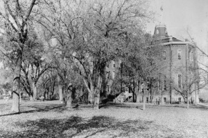 Old Main, at the University of Colorado at Boulder, is a four- story brick building with a mansard roof tower and ridgcresting. Large, bare trees conceal most of the structure; people and a photographer with a tripod are on the lawn.