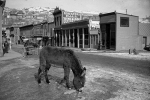 Copy of an 1880s photoprint of a burro grazing in the middle of an unpaved street in Central City, Colorado in Gilpin County.  Pedestrians along boardwalk along unpaved street.  Horse-drawn carriage standing along side of street.  Signs: "Forester's Hall" and "Zini & Co."