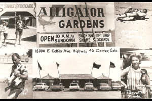 Postcard Found at Colfax Museum