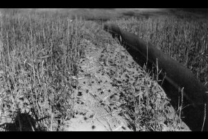 Crickets with tin fence, circa 1927. From the Farrington R. Carpenter Family Papers, WH60, Box 2, FF14